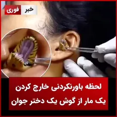 لحظه  باورنکردنی خارج کردن يک مار از گوش يک دختر جوان 