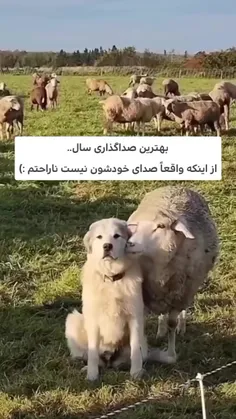 😊