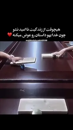 به حکمتش دل بسپار ;-) ❤🌱🥹