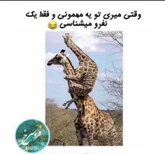 الان اون نرسید برگ درخت بخوره اونو گزاشته رو خودش.