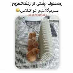 کیا این مدلی أن؟ 😂 😂