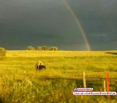 به به چه منظره ی زیبایی...