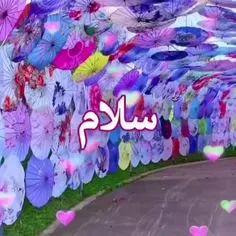 سلام صبح تون بخیر 💐💐💖💖💖