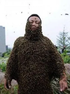 شی پینگ ، #زنبورداری در چین است که در آوریل 2012 رکورد بی