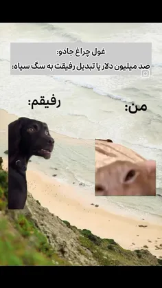 کپی ممنوع 🚫