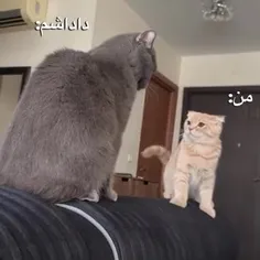 989962_7645 77395925