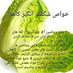 کاهو