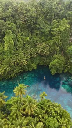 حس میکنم نیاز دارم تا یک سال آینده هیچ موجود زنده‌ای مخصو