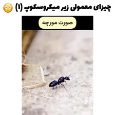 #علمی_دیدنی_جالب