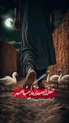 mohammadabbasikafsh 74661826