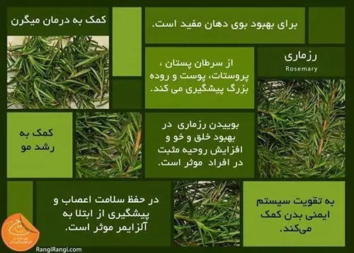 خواص رزماری