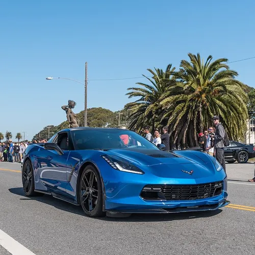 Stingray C7