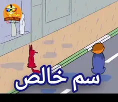 سم خالص (زیر بارون ⛈️ ☔) 