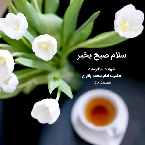 ✨سلام صبح بخیر ☕️