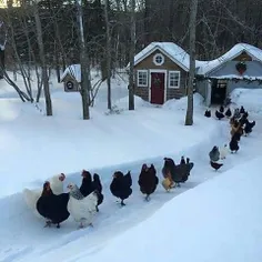 خانوما تو کمپ زمستونی ...