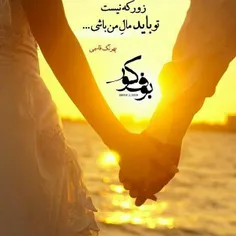 عاشقانه ها mohammadmehdi0 9094385