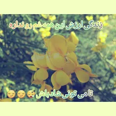 درسته