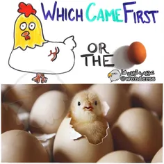 اول مرغ بود یا تخم مرغ؟؟