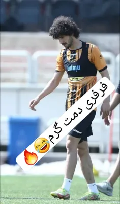 بردمون