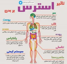 شخصی sadeghsad 20382739