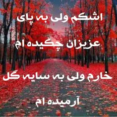 سر به گریبانم