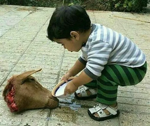 مهربانی را از کودکان بیاموزیم.............