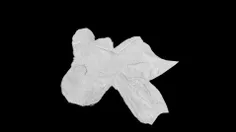 alibaba62717 75734701