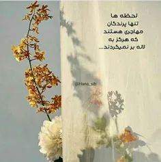 عاشقانه ها hana_sih 34743492