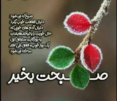 •{•✨🕊✨•}•آرامش صبحگاهی نوش قلبتون❤️✨