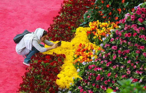 نمایشگاه گل و گیاه تهران