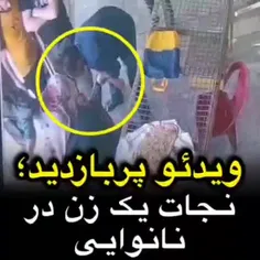 در ویدئویی که فراگیر شده، یکی از هموطنان در نانوایی، خانم