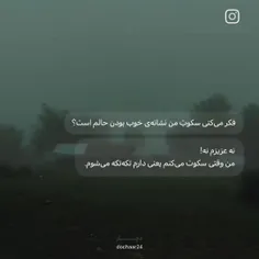 من وقتی سکوت میکنم یعنی دارم تکه تکه میشم:)