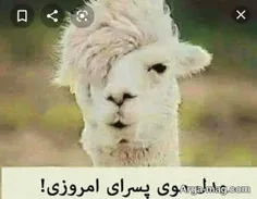 پسرا بهتون بر نخوره واقعیته😂😂😂😂😂