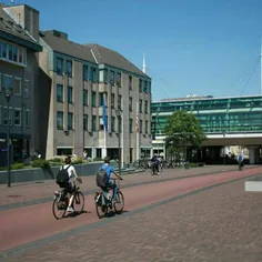 شهر Houten در هلند، یگانه شهری است که هیچ‌یک از ۴۰۰۰ نفر 