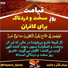 #قران #قرآن #قرآن_کریم #قران_کریم #القرآن #القران_الکریم 