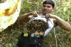 این مرد به اندازه ای زنبور زیر #پیراهنش جمع می کند که وقت