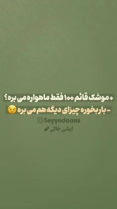 setayesh_ghj 43204826