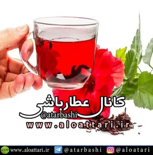 ☕ ️خواص چای ترش