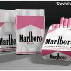 CgaR  marLborO , sO niCe