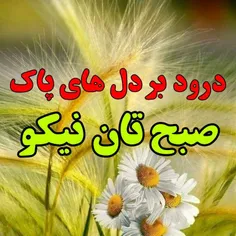 عکس نوشته ali999999 27028506