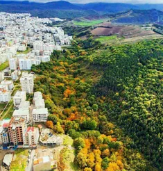 #طبیعت زیبای#گرگان🍃 🌳 🍂 