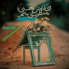 🎀🍃#زیــنـبـیــــون🍃🎀