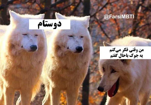 خدا نصیبتون نکنه😂😂