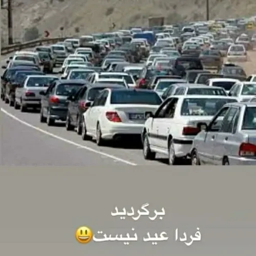 برگردین