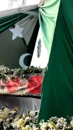 سردار شش ماهه 