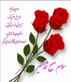 عکس نوشته ali999999 29959265