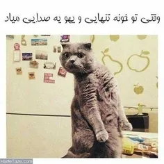 طنز نوشت رو دنبال کن 😉