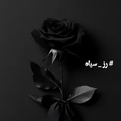 # رز _ سیاه 