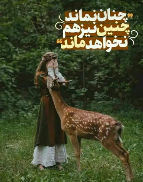 عکس نوشته