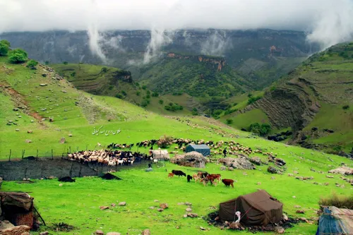 بهار ایلام شهرستان دره شهر